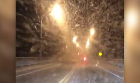 On the road, what looks like a blizzard is actually a thick cloud of flying insects