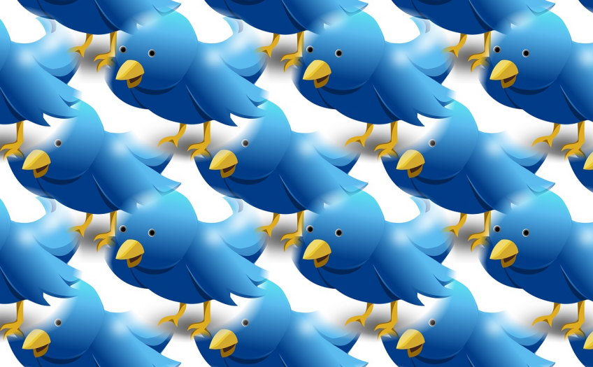 A mosaic of illustrated blue birds, representing Twitter.